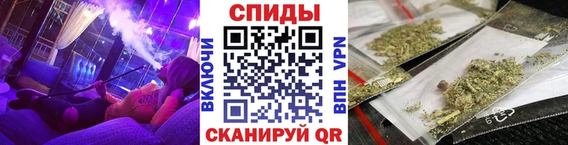 Купить где  Тара  Бутират BDO 