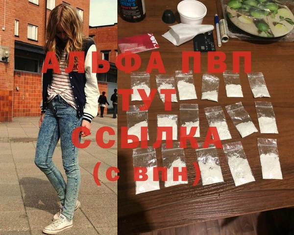 стафф Аркадак
