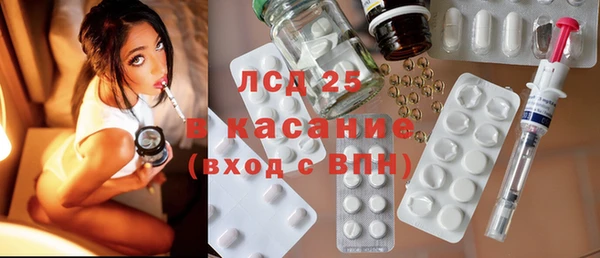 стафф Аркадак