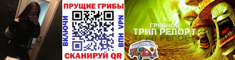 Купить закладки  Тара  Галлюциногенные грибы Cubensis 